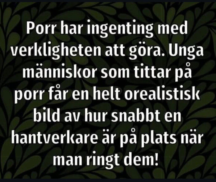 Text med humoristisk kritik av orealistiska förväntningar på hantverkares snabbhet, baserat på hur de framställs i vissa medier.