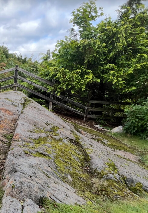 Stenigt berg med grön mossa, omgiven av grönska och träd, med ett staket i bakgrunden.