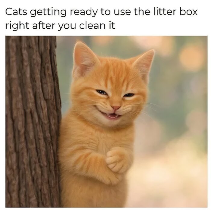 En orange kattunge lutar sig mot ett träd med ett busigt uttryck i ansiktet, omgiven av suddig bakgrund med mjuka färger.