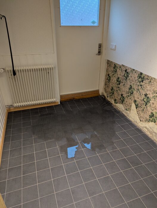 Vattenläcka vid källardörr med mörkt golv och tapeter.