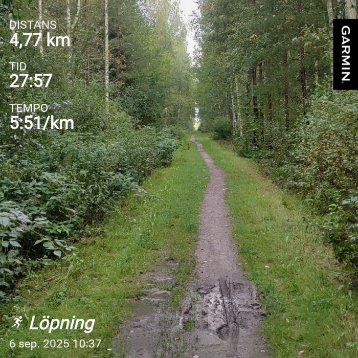 Löparstig i skog med hög vegetation på båda sidor, lerigt spår i mitten. Distans 4,77 km, tid 27:57, tempo 5:51/km enligt Garmin.