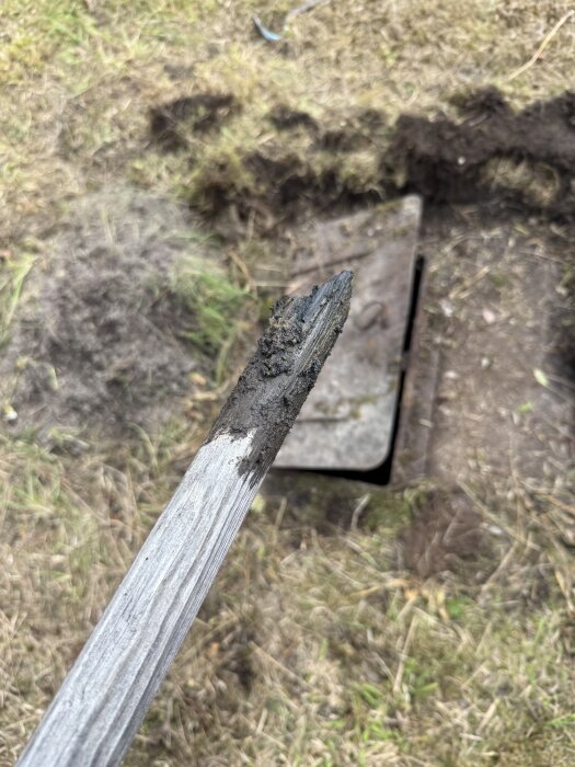 Träpåle med lera vid öppnad rostig brunnslucka i övervuxen trädgård.