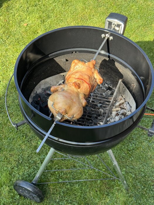 Grill med roterande kyckling på ett rotisserie på grön gräsmatta.