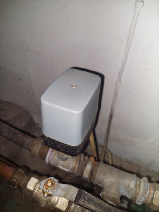 Grå dosa kopplad till ett rörsystem i en källare, del av vattenpumpinstallationen som diskuteras i inlägget.