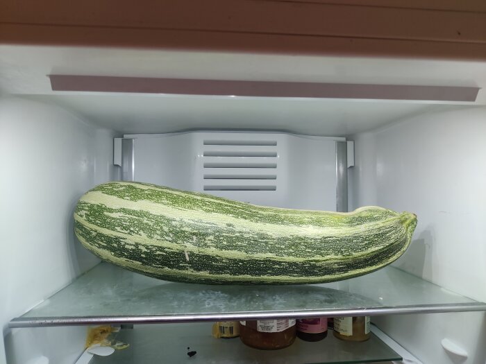 Stor squash på en kylhylla, grönt med vita ränder, tar hela hyllans bredd, väger drygt 3 kg enligt inlägget.