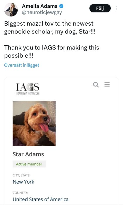 En hund porträtterad som forskare i ett medlemskort från IAGS, med text som önskar lycka till.