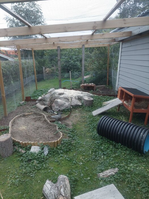 Kaningård med nätöverdrag, trädgårdsmiljö, trästolpar, ett jordområde med stubbar och en kaninbur vid sidan, plastslang på marken.