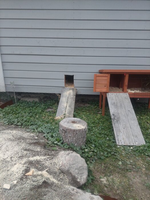 Kaningård med två ramper, hål i vägg för innedel, och en stubbe på marken.