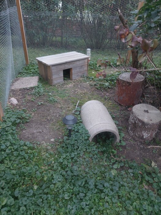 Kaningård med träbox, nätstaket, rör för kaniner, och stubbe i grönskande miljö. Planerad isolerad låda till vinter.