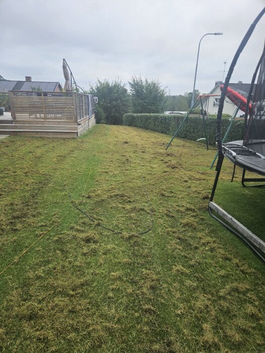 Nyklippt och vertikalskurit gräsmatta på 300 kvm, med lekställning och altan i bakgrunden.