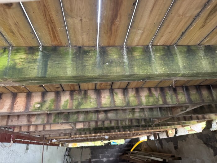 Fuktigt träbjälklag med mögel under uteplats, frågeställning om byte eller reparation av skadat material.