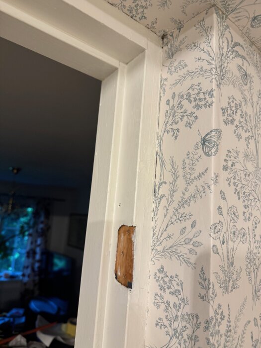Skarv mellan dörrkarm och blommig tapet i ett rum med dämpad belysning och ett fönster i bakgrunden.