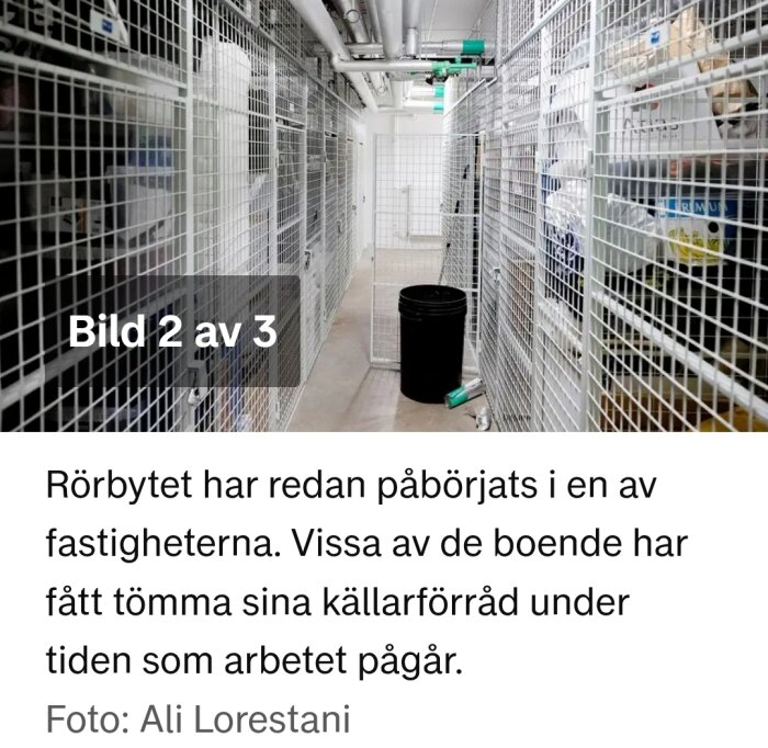 Källarförråd med gröna rör i taket för rörarbete, gallerförsedda förråd och en svart hink på golvet.