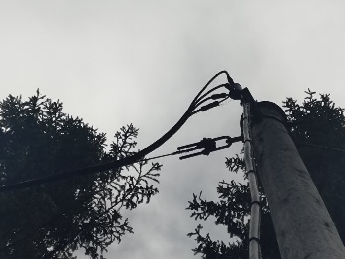 Böjd stolpe med kabelfäste bland träd, där staginfästningen inte klarat dragkraften.