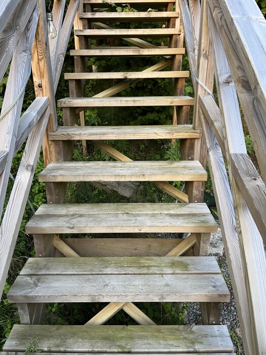 Trätrappa utomhus med stabila steg och räcken, omgiven av grönska.
