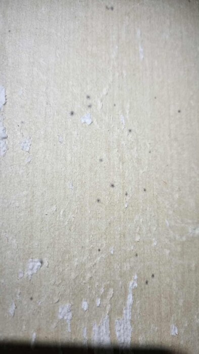 Gamla tapetrester med små mögelfläckar på en delvis avskrapad vägg.