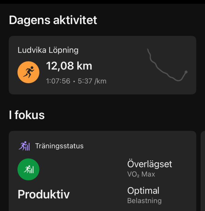 Löpning i Ludvika: 12,08 km på 1:07:56, 5:37/km, träningsstatus produktiv, VO2 Max överlägset, belastning optimal.