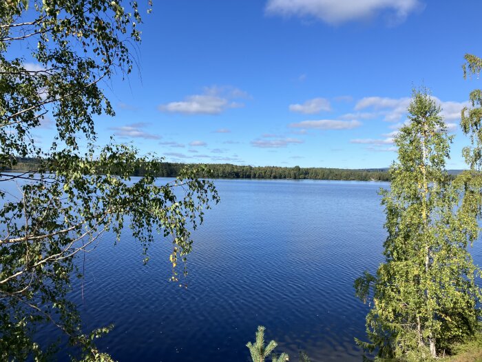 Sjön omgiven av gröna träd under klarblå himmel med vita moln.