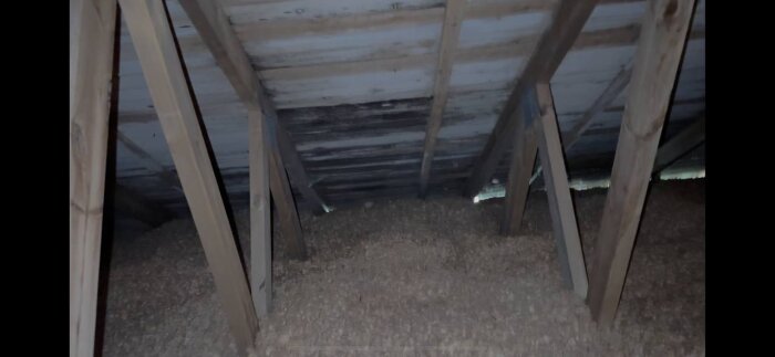 Vind med träbjälkar och isolering, synligt svartmögel på underdelen av taket.