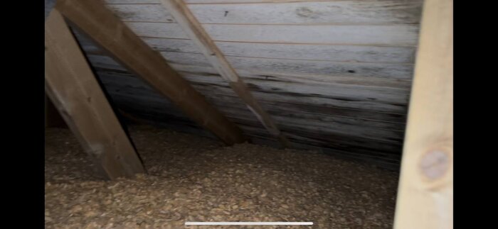 Vind med takstolar, synliga tecken på vit- och svartmögel på insidan av taket. Fotografiet är taget från en nyinflyttad husägares inspektion.