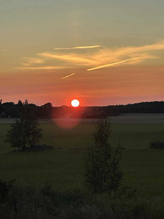 Solnedgång över landskap med fält och träd i förgrunden, himlen i orange och gula toner.