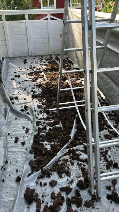 Stege mot husvägg med mossa spridd över presenning på marken.