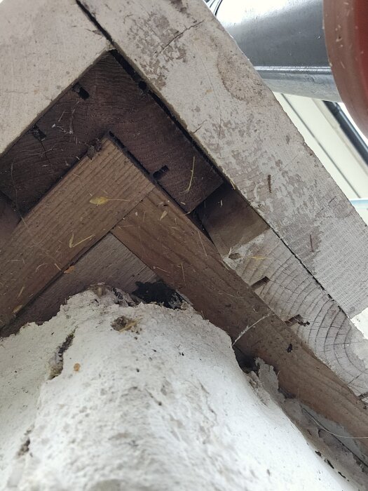 Spricka mellan träpanel och murad vägg vid husgrund, potentiellt inträdesställe för spindlar.