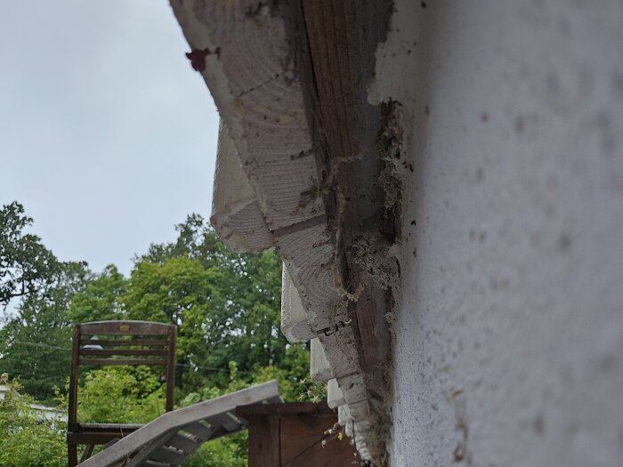 Närbild av träpanelens nederkant på ett hus med sprickor och skador, del av ett problem med spindlar enligt forumdiskussionen.