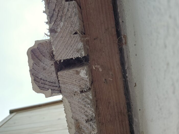 Träpanel med sprickor och spindelväv vid husvägg, potentiellt ingång för spindlar.