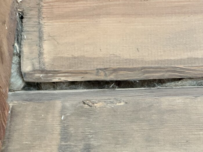 Öppen glipa i timmerhusvägg, synlig mellan två stockar, med felaktigt utförd laxknut där dymlingen saknas eller är bristfällig, vilket skapar stabilitetsproblem.