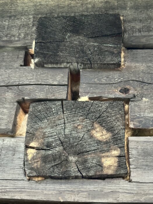 Felaktigt utförd laxknut i timmerhus med synliga sprickor och glipor mellan stockarna, vilket tyder på konstruktionsfel.