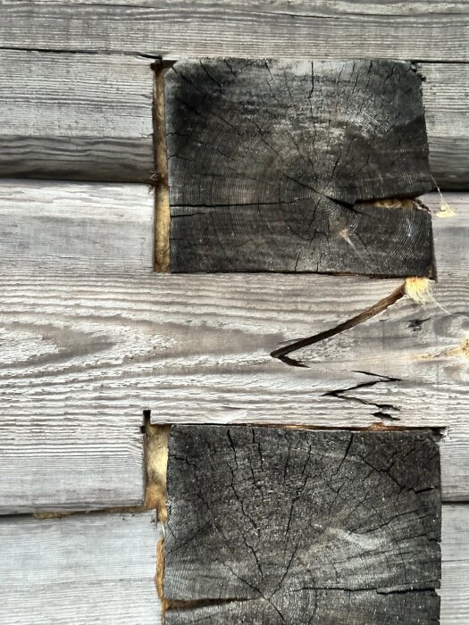 Felaktigt utförda laxknutar i ett timmerhus med stora sprickor och glipor mellan stockarna. Brist på stabiliserande dymlingar synlig i konstruktionen.