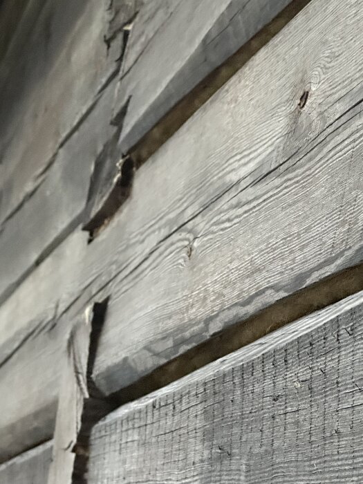 Laxknutar och stockar med synliga sprickor och glipor i nybyggt timmerhus, vilket orsakar stabilitets- och tätningsproblem.