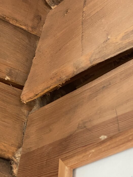 Felaktigt utförda laxknutar i timmerhus med tydliga glipor och sprickor mellan stockarna. Bristfällig dymling och instabil stomme synliga.