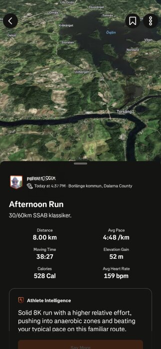 Satellitbild av Borlänge kommun med en löprunda på 8 km markerad. Statistik visar distans och medelhastighet.
