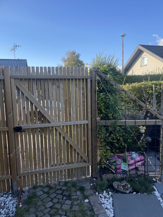 Trägrind förstärkt med vajer och växter som klättrar på sidan, stenlagd gång och hus i bakgrunden under blå himmel.