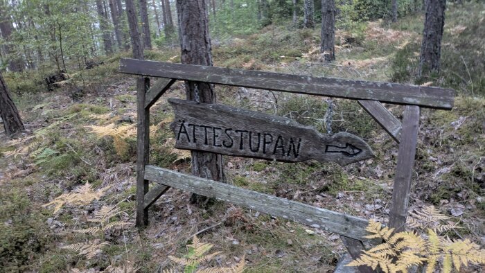 Träskylt i skogen med texten "Ättestupan" och en pil som pekar åt höger, omgiven av mossa och träd.