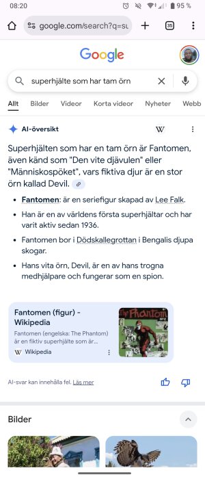 Google-sökning på "superhjälte som har tam örn" visar resultat om Fantomen med detaljer från Wikipedia.