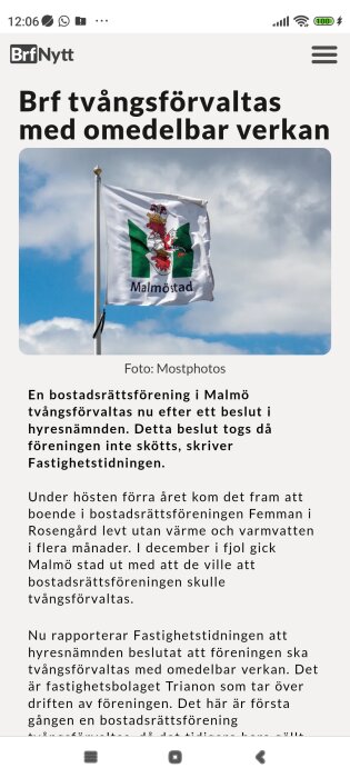 Flagga med texten "Malmöstad" vajar mot en molnig himmel.