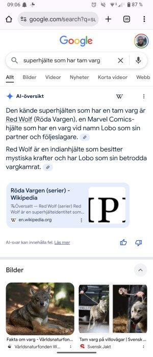 Google-sökning efter superhjälte med tam varg, visar Wikipedia-länk till Red Wolf och bilder av vargar.