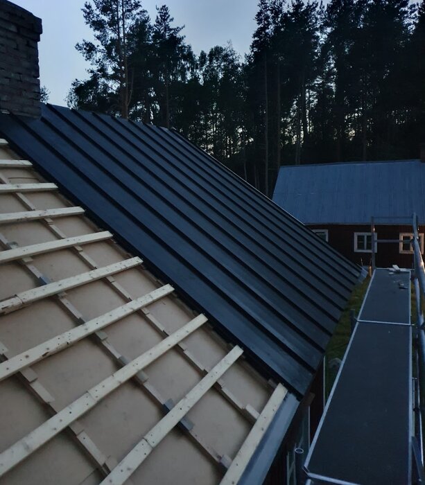 Bild av ett pågående takrenoveringsprojekt, visar en delvis täckt takyta med stående plåt och träreglar, omgiven av skog och andra byggnader.
