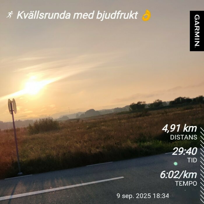 Solnedgång över äng vid vägkant med träningsdata: 4,91 km distans, tid 29:40, tempo 6:02/km. Text: "Kvällsrunda med bjudfrukt".