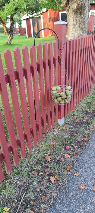 Träkorg med äpplen hänger på en röd staketstolpe, bredvid en trädgård med stora träd och en vit och röd byggnad i bakgrunden.