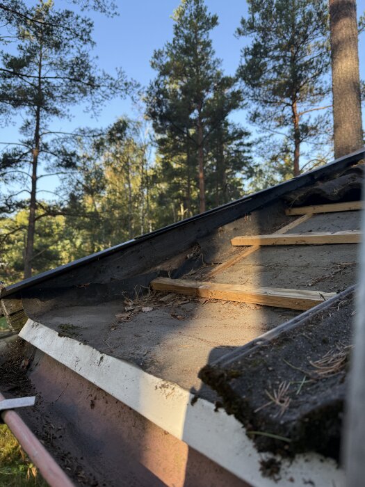 Platt tak med träkilar under takpannor, omgiven av träd, visar en planare lutning på en takrad i ett hus från 1971.