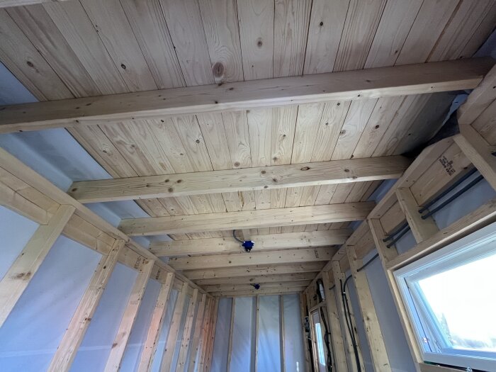 Invändigt tak och väggkonstruktion i trä i en friggebod under renovering, med exponerade reglar och inbyggd el, sett från insidan.