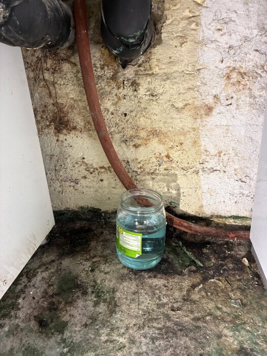 Droppande vätska från ett isolerat rör ovanför en burk, troligen brine, läcker på en yta med grön beläggning och vägg i bakgrunden.