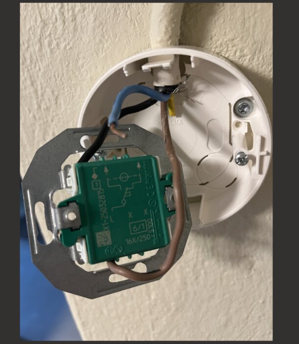 En öppen elinstallation med en strömbrytare och synliga kablar: brun (fas), svart (tändtråd) och blå (nolla) i en dosa på en vägg.