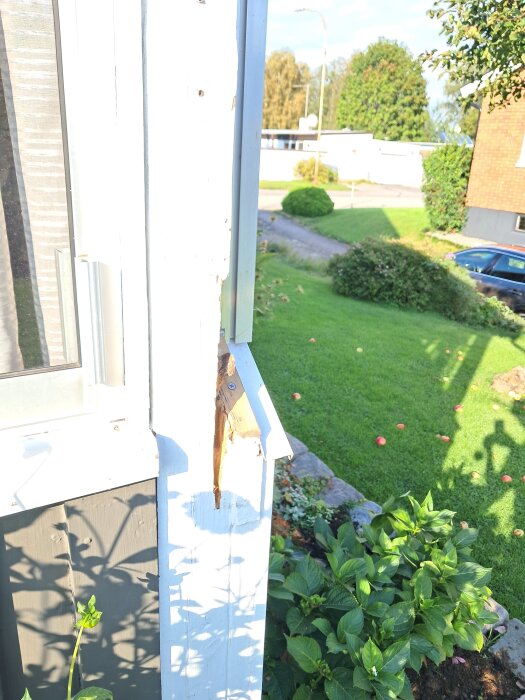 Ruttna träpartier på en stolpe i en inglasad uteplats från 80-talet har avlägsnats; visar uruget trä mot en trädgård.