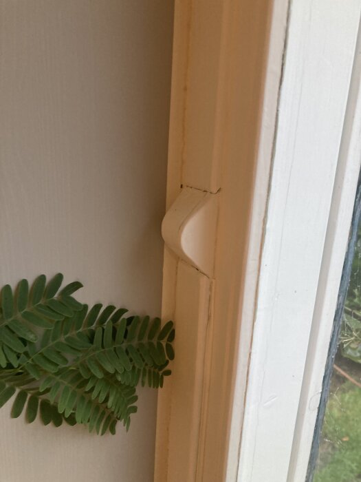 Närbild av en fönsterbåge med svänggångjärn, en bit av en dekorativ växt syns också.