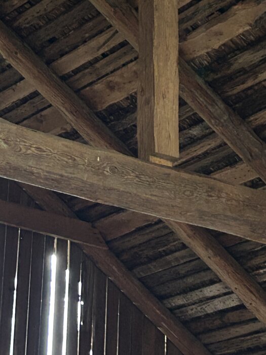 Gammal hölada med träbjälkar och takstruktur, där vissa bjälkar är synligt slitna och skadade. Solsken sipprar in genom väggspringorna.
